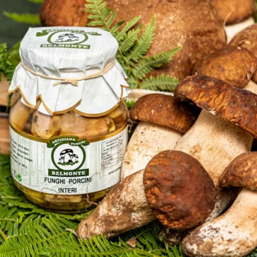 Funghi porcini sott’olio